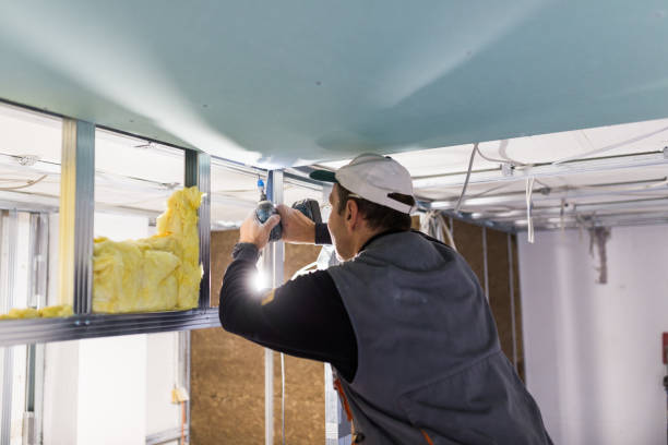 Best Geographic-Specific Insulation Services in Gallipolis, OH