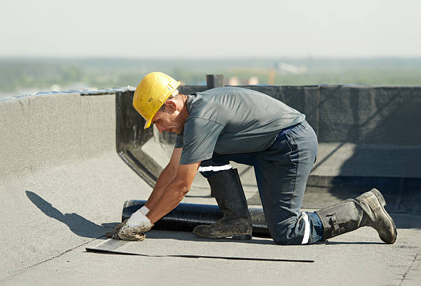Best Specialized Insulation Services in Gallipolis, OH
