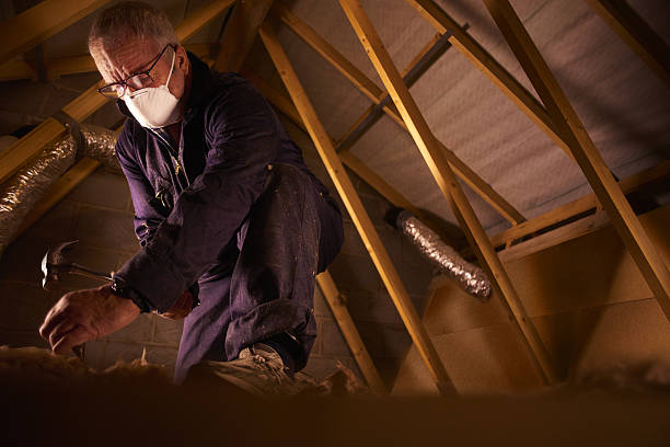 Best Cellulose Insulation in Gallipolis, OH
